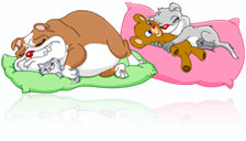 ST  Valentin....